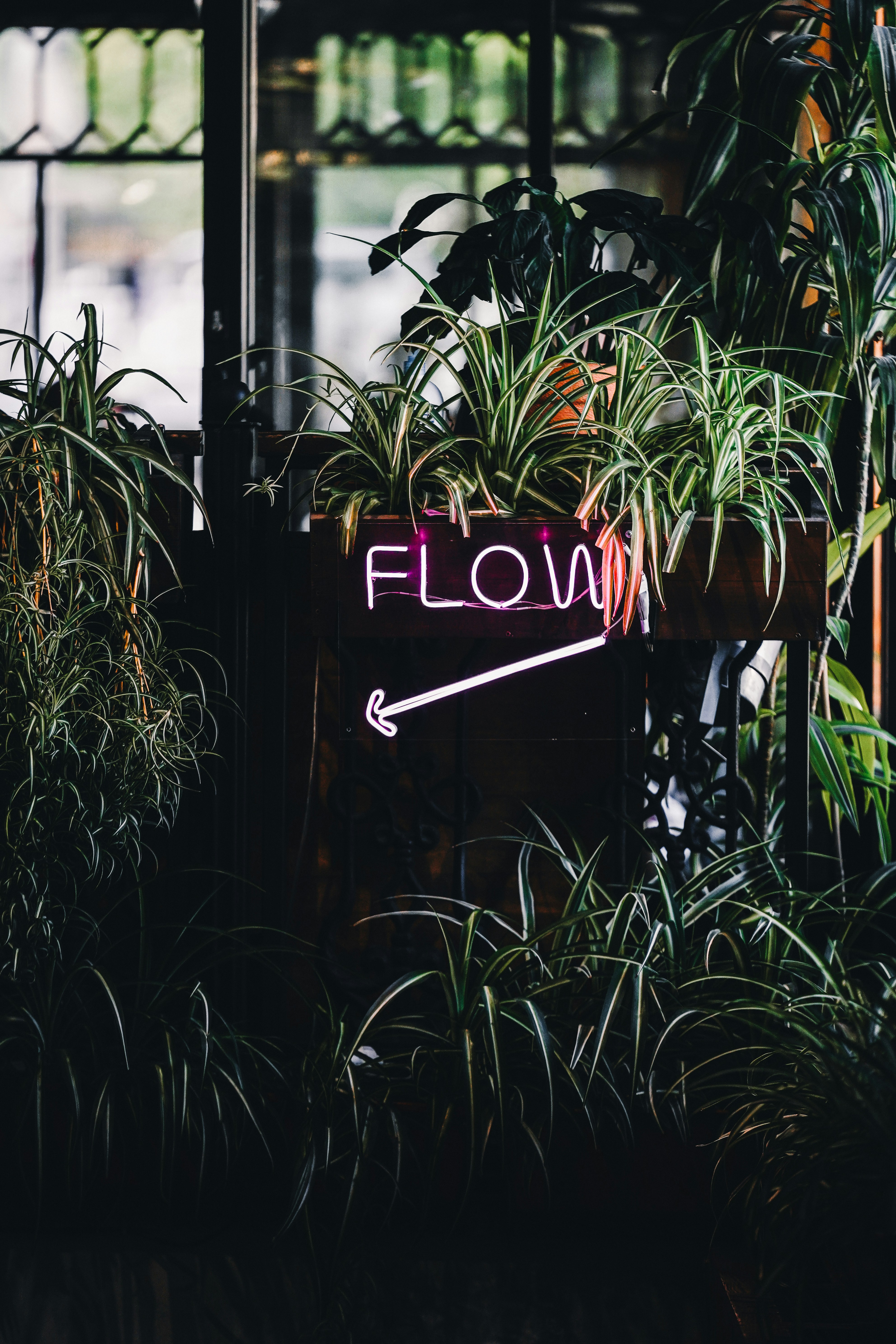 neon sign that says flow in a bundle of plants